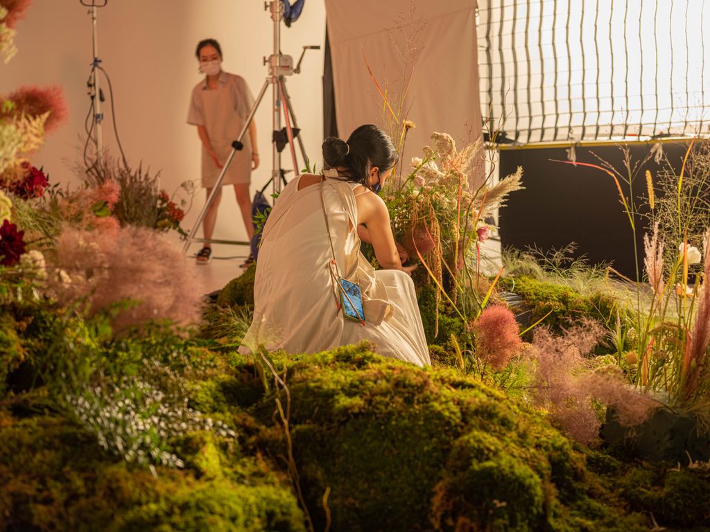 Behind-the-scenes view of a professionally lit botanical film set